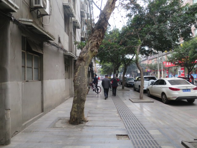 First - 1 (18).jpg