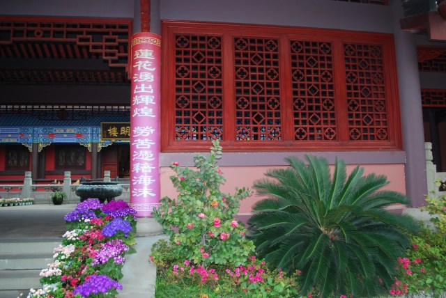 LeshanEmeishan - 117