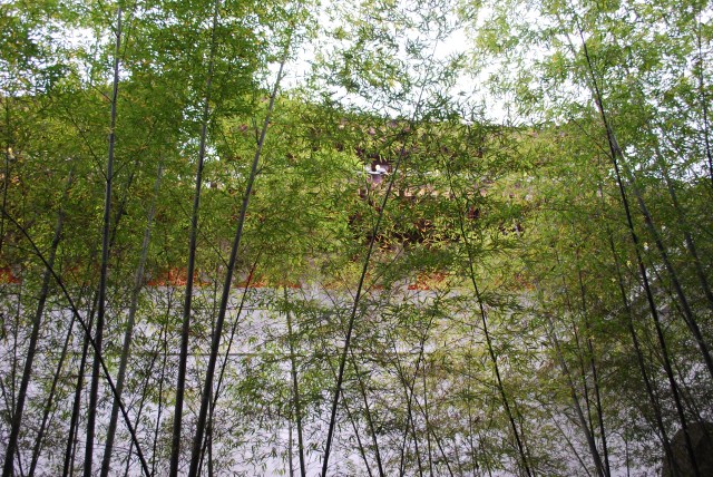 LeshanEmeishan - 120
