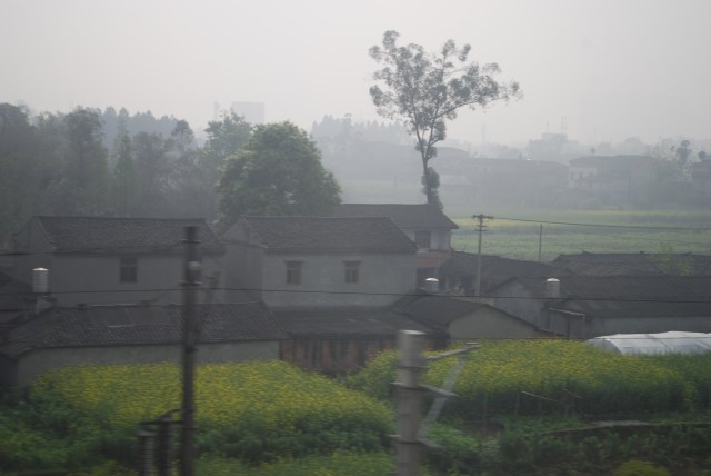 LeshanEmeishan - 16