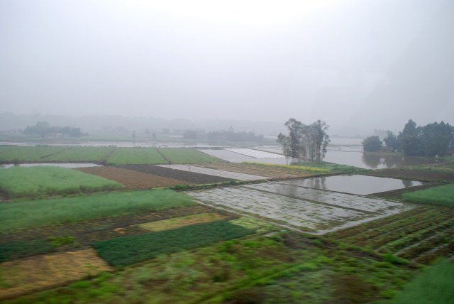 LeshanEmeishan - 20