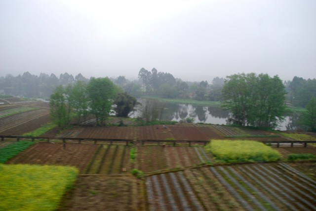LeshanEmeishan - 24