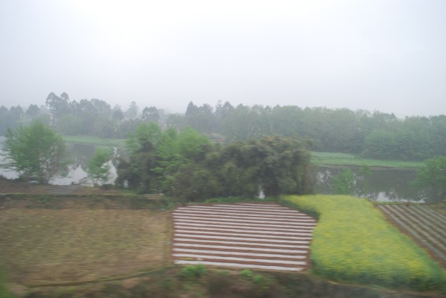 LeshanEmeishan - 25
