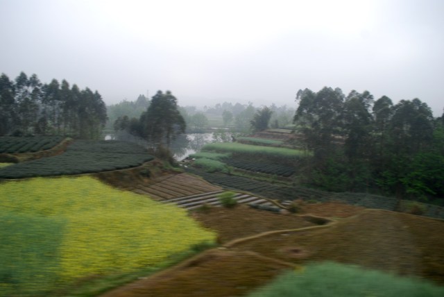 LeshanEmeishan - 27
