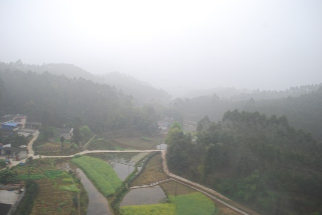 LeshanEmeishan - 29