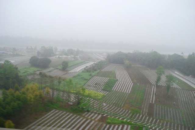LeshanEmeishan - 30