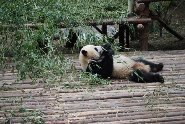 Pandas - 11