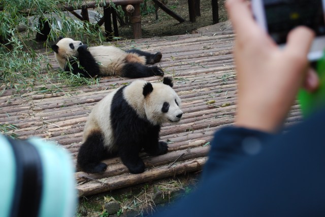 Pandas - 13