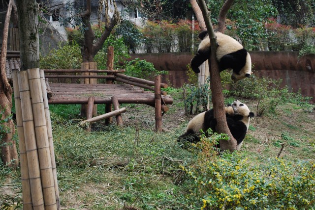 Pandas - 18