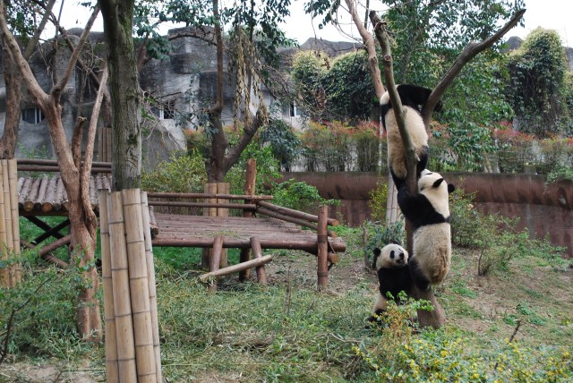 Pandas - 19