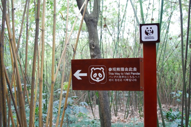Pandas - 5