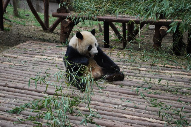Pandas - 9