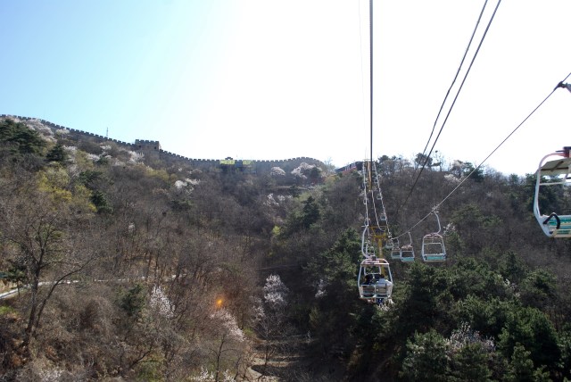 Beijing - 137