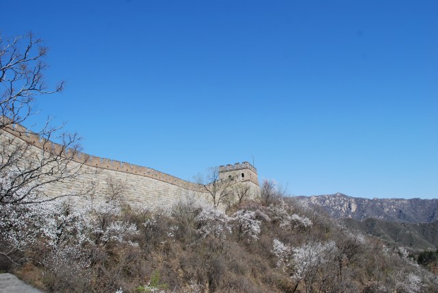 Beijing - 142