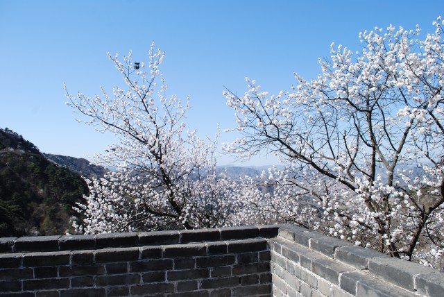 Beijing - 148