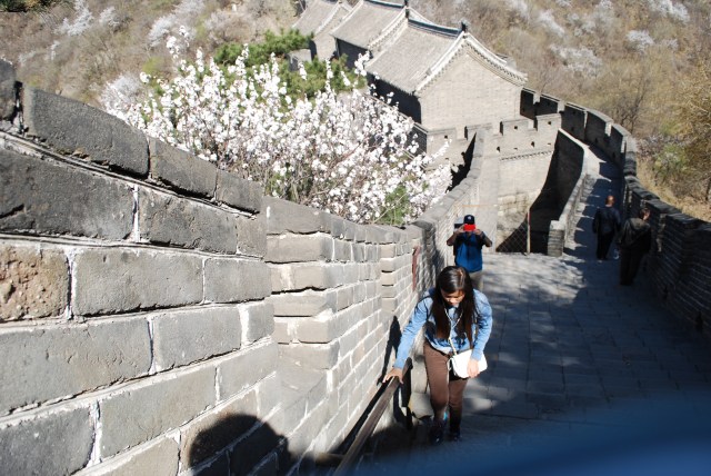 Beijing - 153