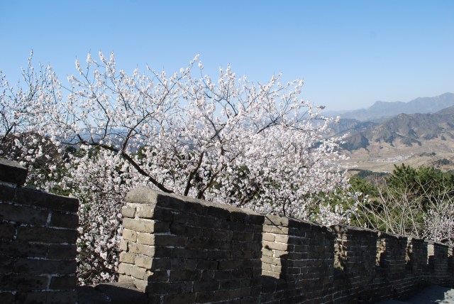 Beijing - 159