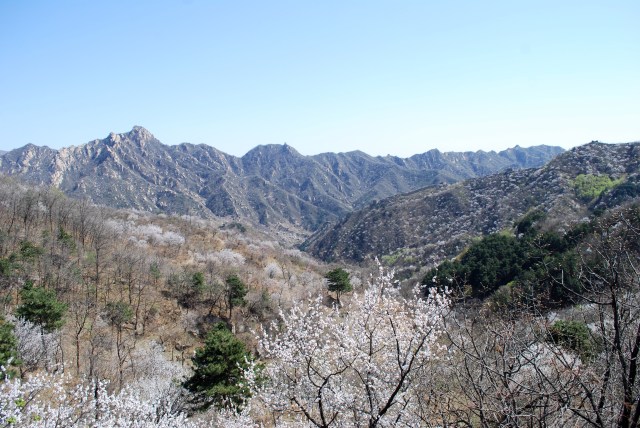Beijing - 174