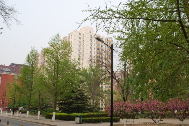 Beijing - 22