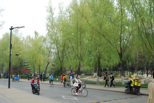 Beijing - 28