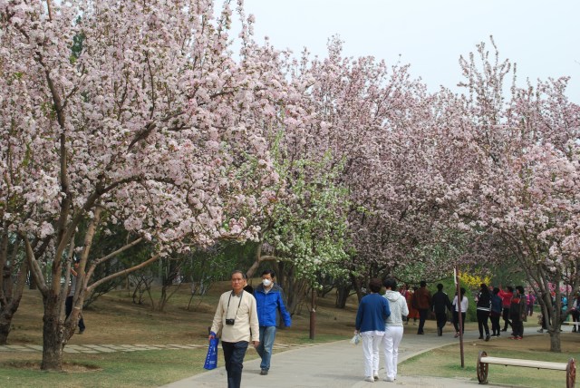 Beijing - 44