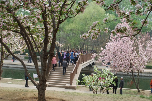 Beijing - 47