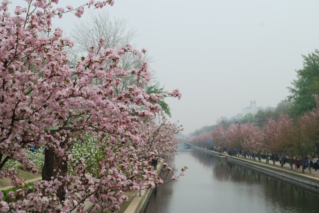 Beijing - 50