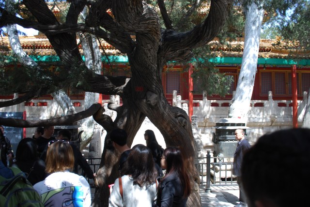 Beijing - 97
